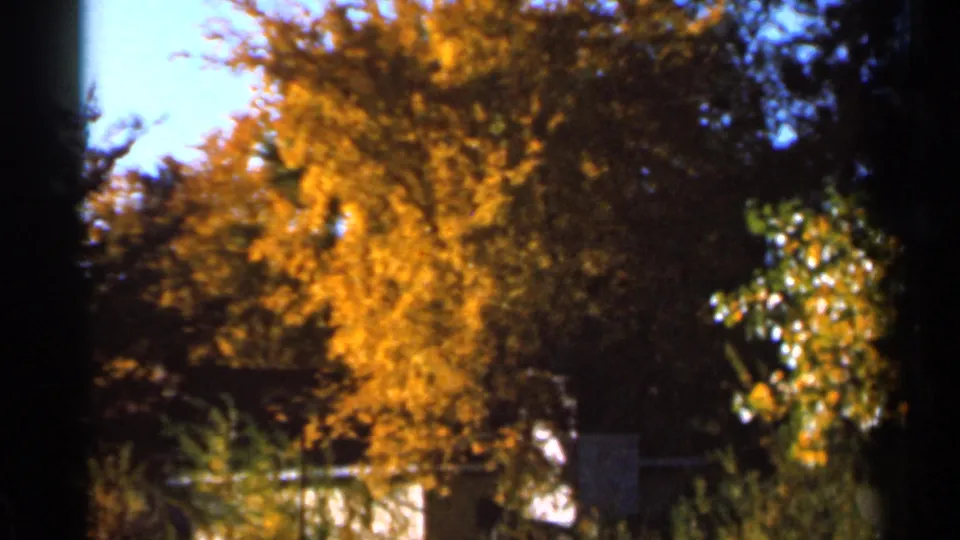 Late frame of the 1966 Sauk Centre clip showing golden leaves, dark tree cover, shrubs, and a low reflective water edge.