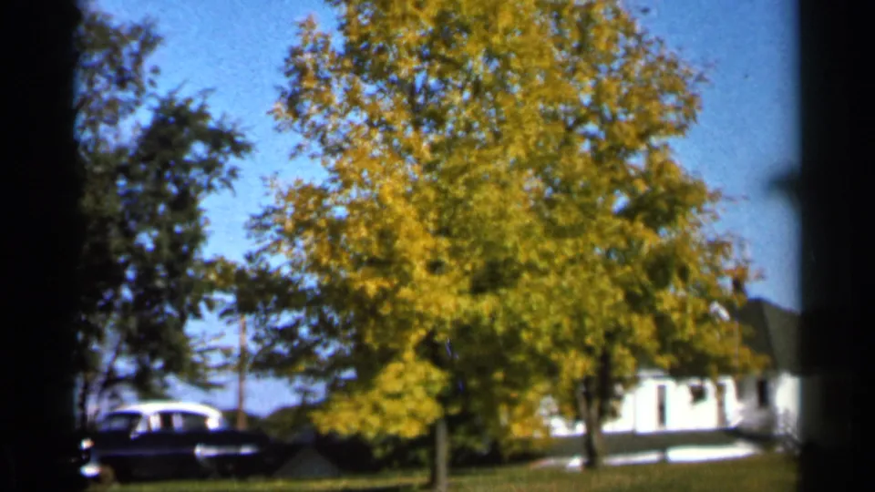 1966 Sauk Centre yard scene with a yellow autumn tree, white house, lawn, and dark 1960s sedan partly visible.