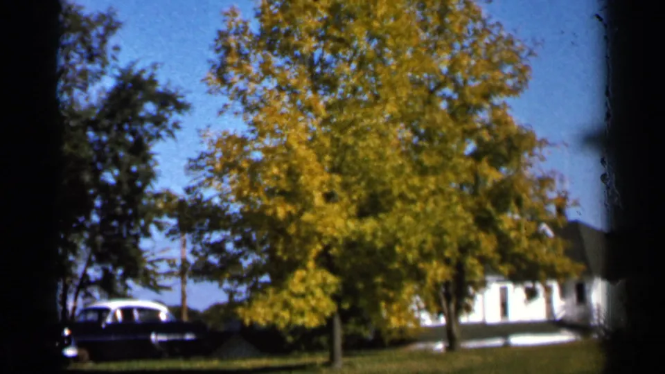 Sauk Centre home-movie frame showing a sunlit lawn, large yellow tree, white house, and parked dark sedan in autumn.