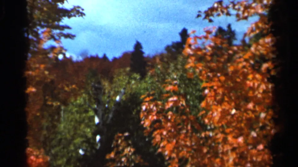 1960s 8mm frame from Wauseon, Ohio showing mixed orange and green autumn treetops beneath a blue sky.