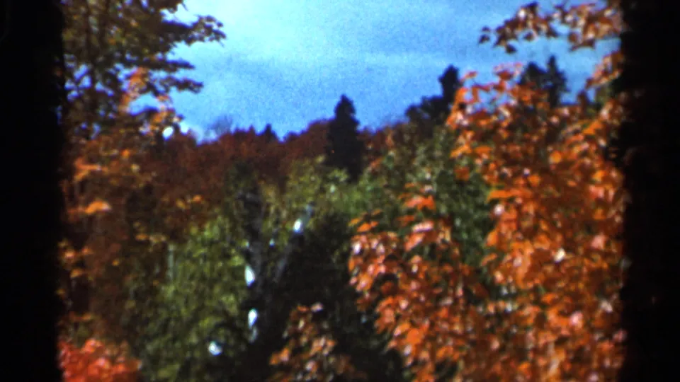 Wauseon, Ohio 8mm home-movie frame showing orange leaves and green trees during a sunny fall day.