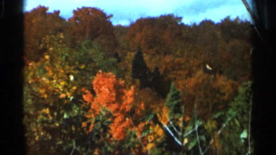 1966 Ohio home-movie frame showing a broader wooded autumn view with orange foliage, green trees, and dark evergreens.