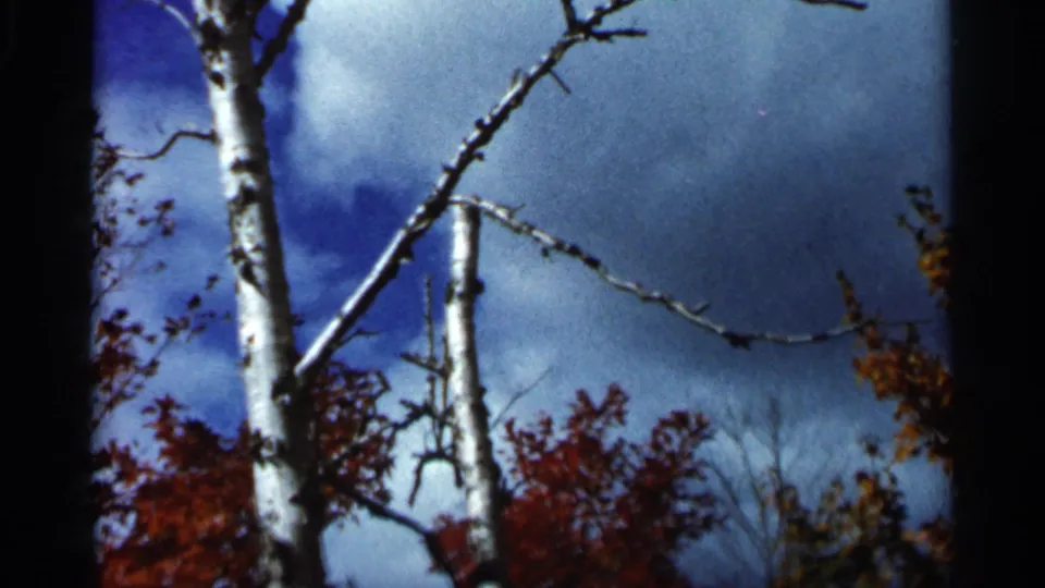 1966 Wauseon, Ohio 8mm frame with white birch trunks, angled bare branches, blue clouds, and autumn foliage along the lower edge.