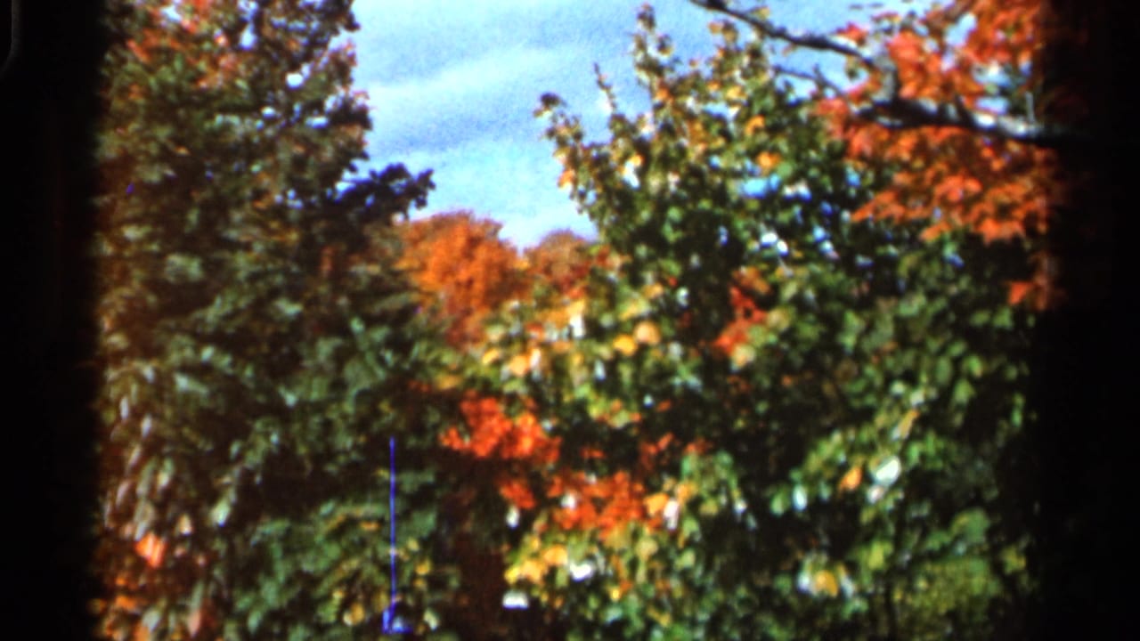 1966 Wauseon, Ohio 8mm frame showing sunlit autumn trees with orange and green foliage and dark film edges.