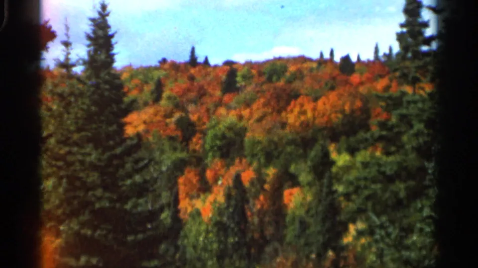 1966 Wauseon, Ohio 8mm frame showing a distant wooded hillside with evergreens and orange autumn foliage.