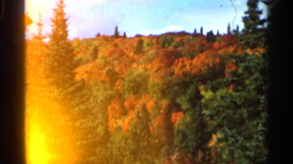 1966 Wauseon, Ohio 8mm frame of a wooded autumn hillside partly washed by yellow-orange light leak.
