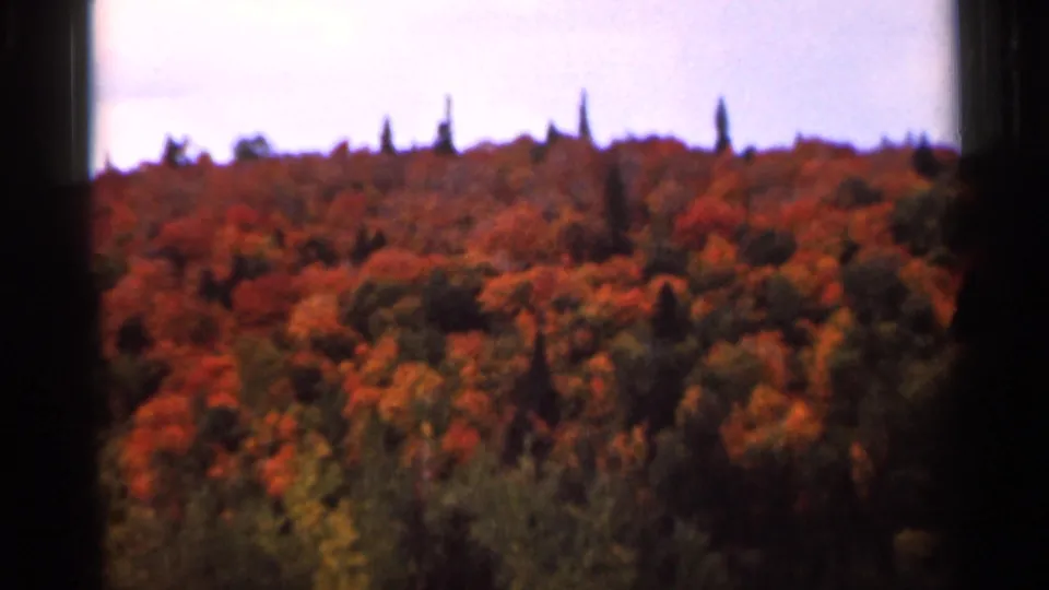 1966 Wauseon, Ohio home-movie view of an autumn forested hill under a pale cloudy sky, framed by dark film edges.