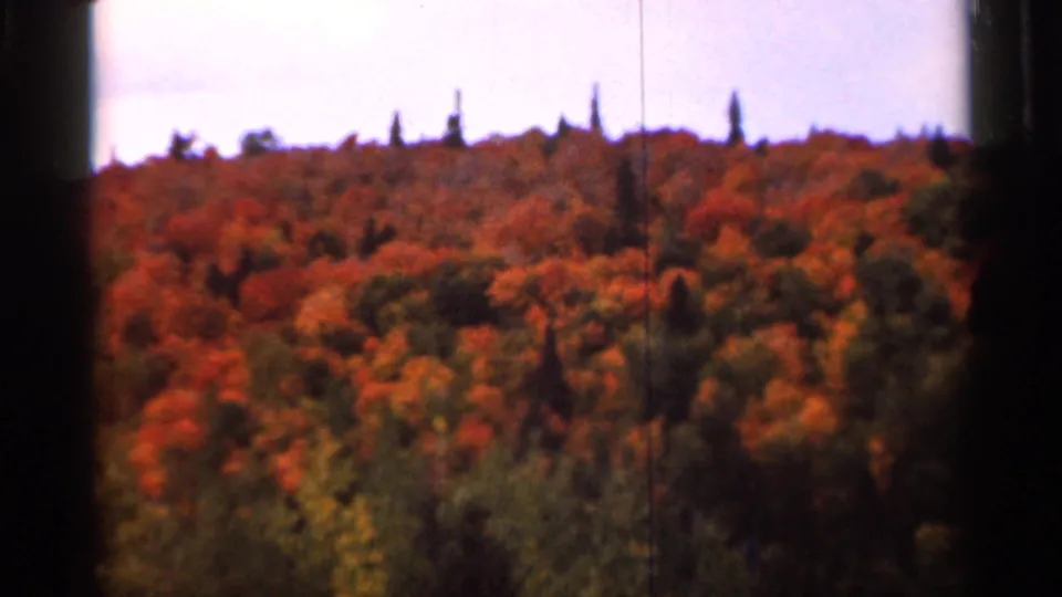 Soft 8mm frame from Wauseon, Ohio in 1966 showing a fall-colored wooded hill, pale sky, and visible frame edge markings.