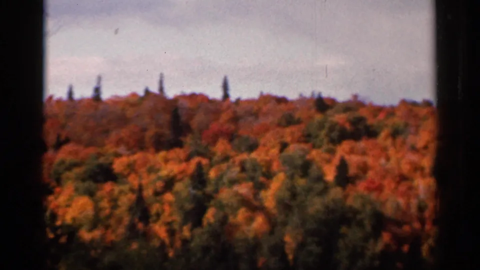 1966 Wauseon, Ohio 8mm frame showing a distant hillside covered in red, orange, yellow, and green fall foliage.