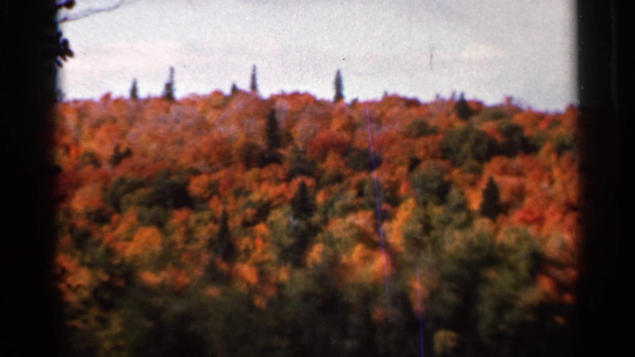 Forested hillside with orange autumn leaves seen through dark frame edges.