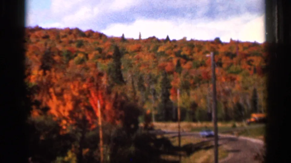 Forested fall hillside in Wauseon, Ohio, with roadside utility poles, a curving road, and a small car near the lower edge.