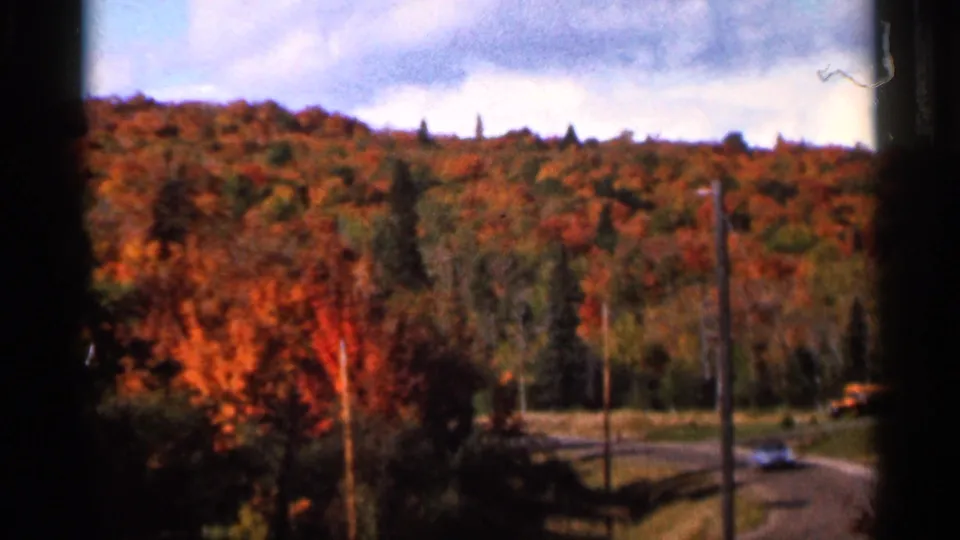 1966 home-movie frame showing a rural road below bright autumn trees, with utility poles and a car partly visible.