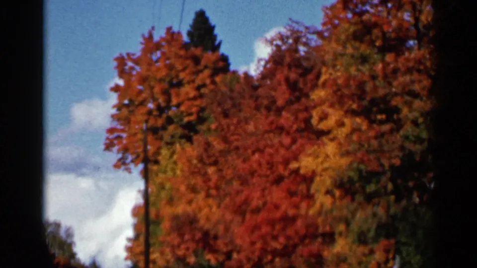 1966 Wauseon, Ohio frame with red and orange treetops, a dark evergreen shape, blue sky, and white clouds.
