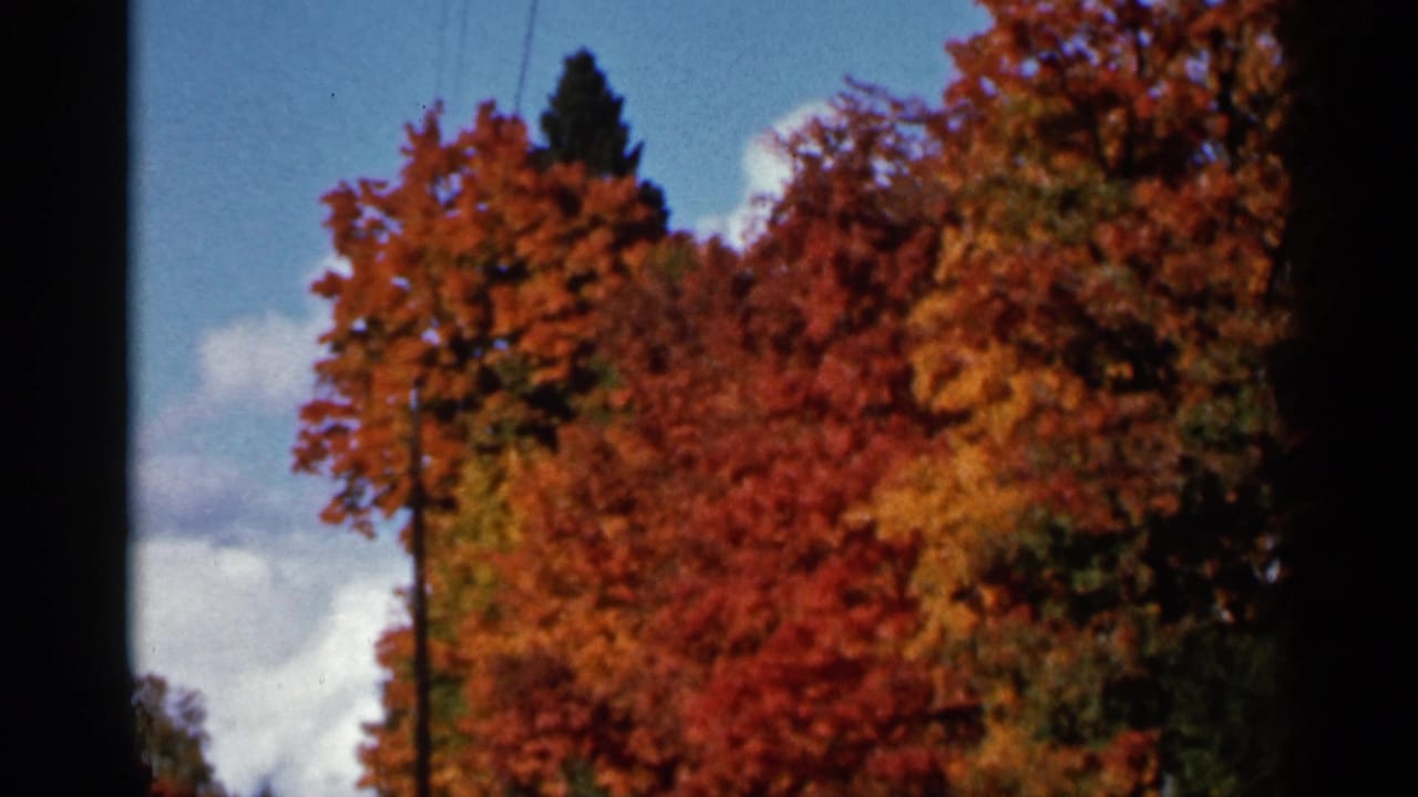 1966 Wauseon, Ohio 8mm frame showing bright autumn foliage beside a dark window edge with blue sky and clouds.