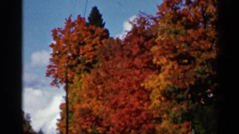 1966 Wauseon, Ohio 8mm frame of colorful fall tree canopy with a dark vertical window or film-frame edge.