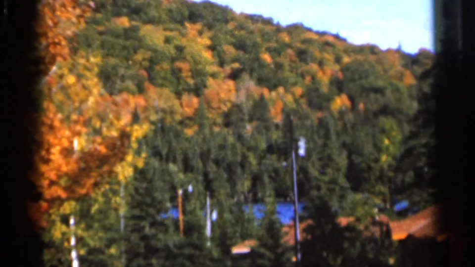 1966 Wauseon, Ohio 8mm view across a wooded hillside with fall color, evergreens, utility poles, and small distant structures.