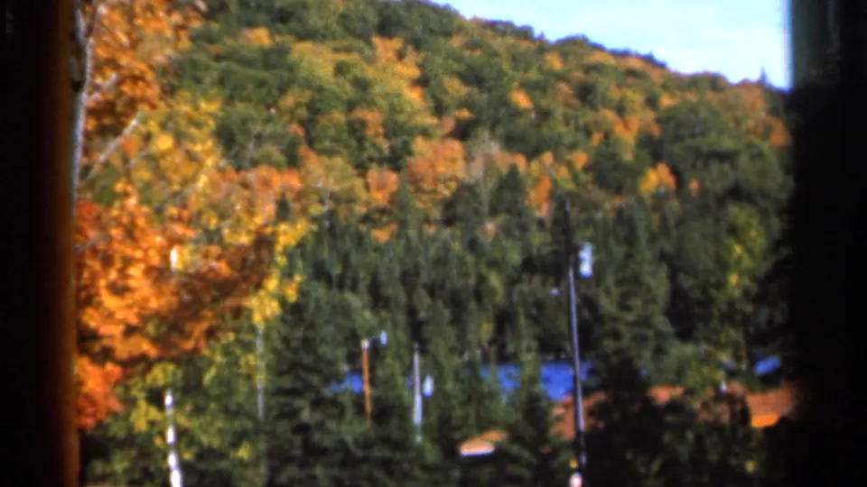 1966 Wauseon, Ohio 8mm frame showing a mixed evergreen and autumn hillside with utility poles and distant structures.