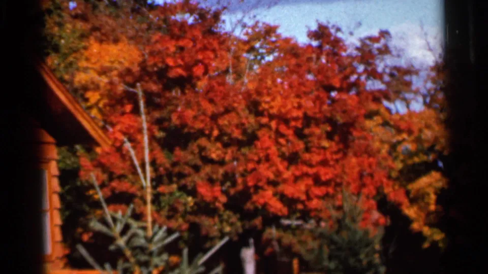 1966 Wauseon, Ohio 8mm frame with saturated red-orange foliage, shrubs, and the sloping edge of a wood-sided building.