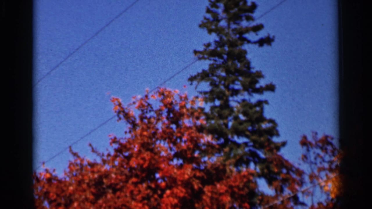1966 Wauseon home-movie frame with red fall foliage, an evergreen, blue sky, overhead utility wires, and visible 8mm frame borders.
