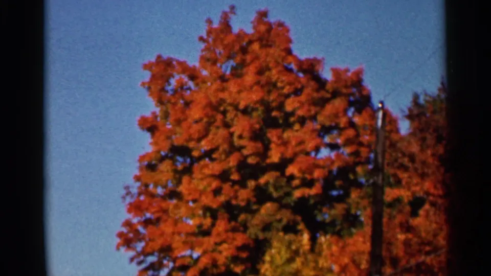 1966 Wauseon autumn frame with a large orange-red tree, visible utility pole, blue sky, and dark 8mm frame edge.