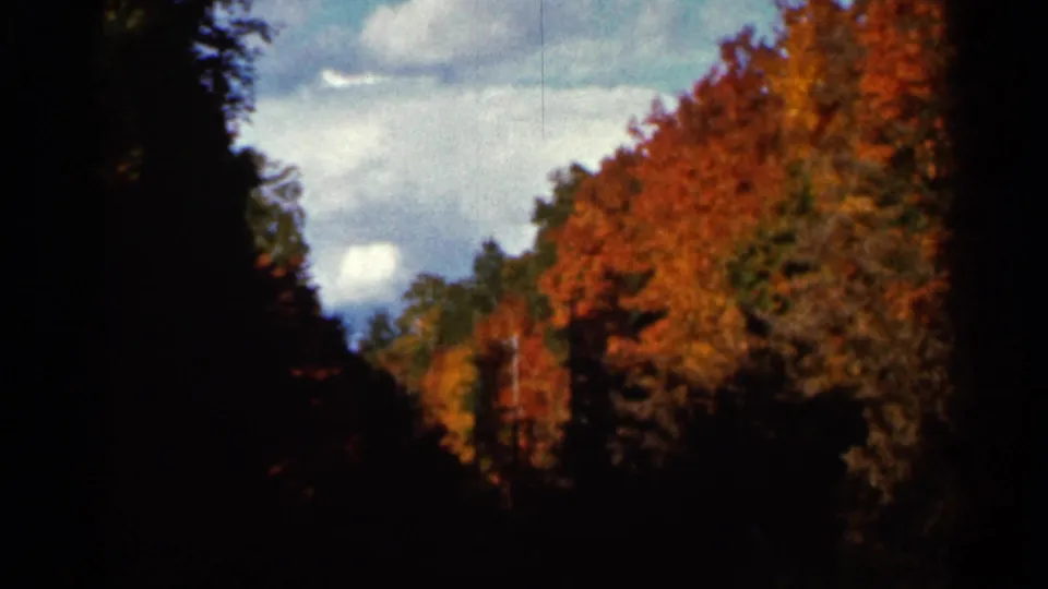 1966 Wauseon home-movie frame looking along autumn trees and dark evergreen shade toward blue sky, clouds, poles, and wires.