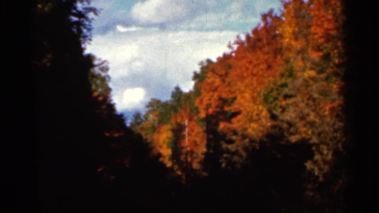 1966 Wauseon, Ohio home-movie frame showing fall-colored trees, blue sky, and dark silhouetted foreground framing.