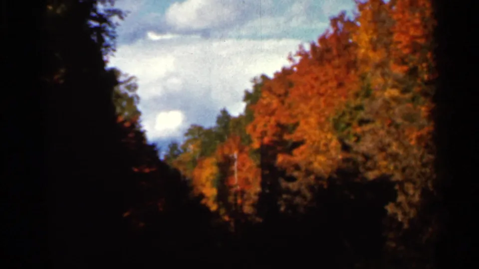 1966 Wauseon, Ohio home-movie frame showing fall-colored trees, blue sky, and dark silhouetted foreground framing.