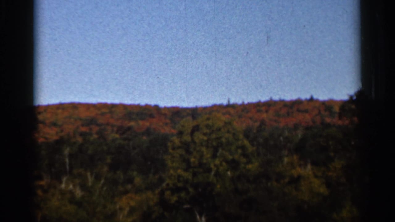 Wooded hillside with autumn foliage under a clear blue sky.