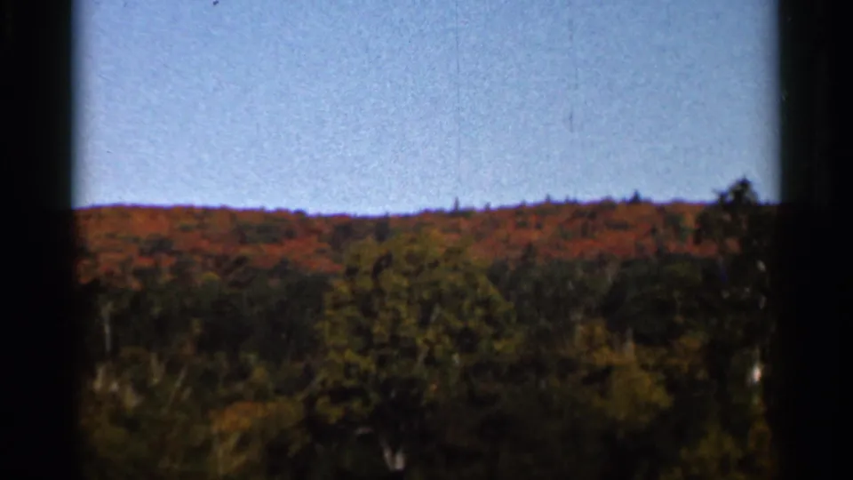 1966 Wauseon, Ohio 8mm frame with a broad treeline, mixed autumn colors, and a pale blue sky framed by dark gate edges.