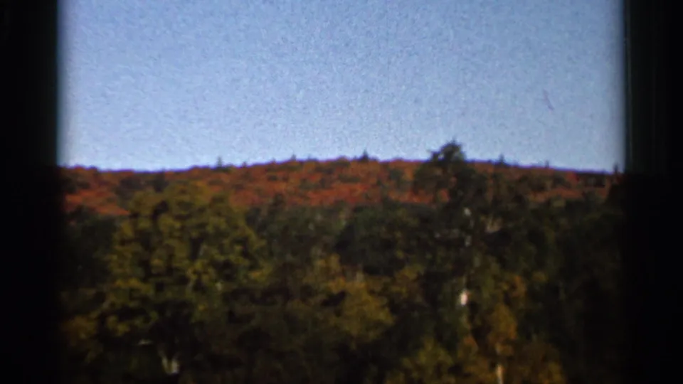 1966 Wauseon, Ohio 8mm frame showing foreground trees and a low hillside with orange and green autumn foliage under open sky.