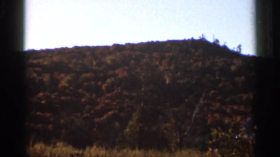1966 Wauseon, Ohio footage shows a fall-colored wooded slope framed by the dark edges of the 8mm scan.