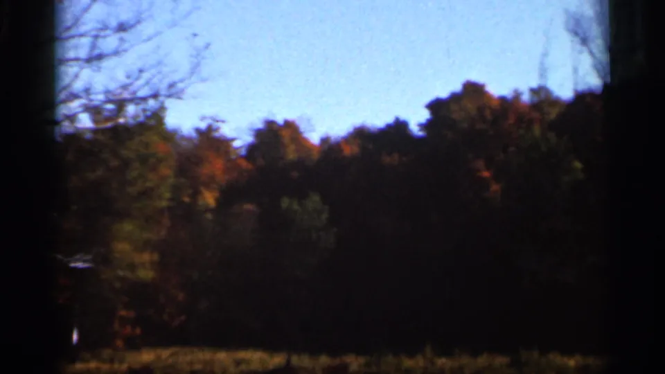 1966 Wauseon, Ohio frame showing darker foreground trees, bare branches, and autumn foliage against blue sky.