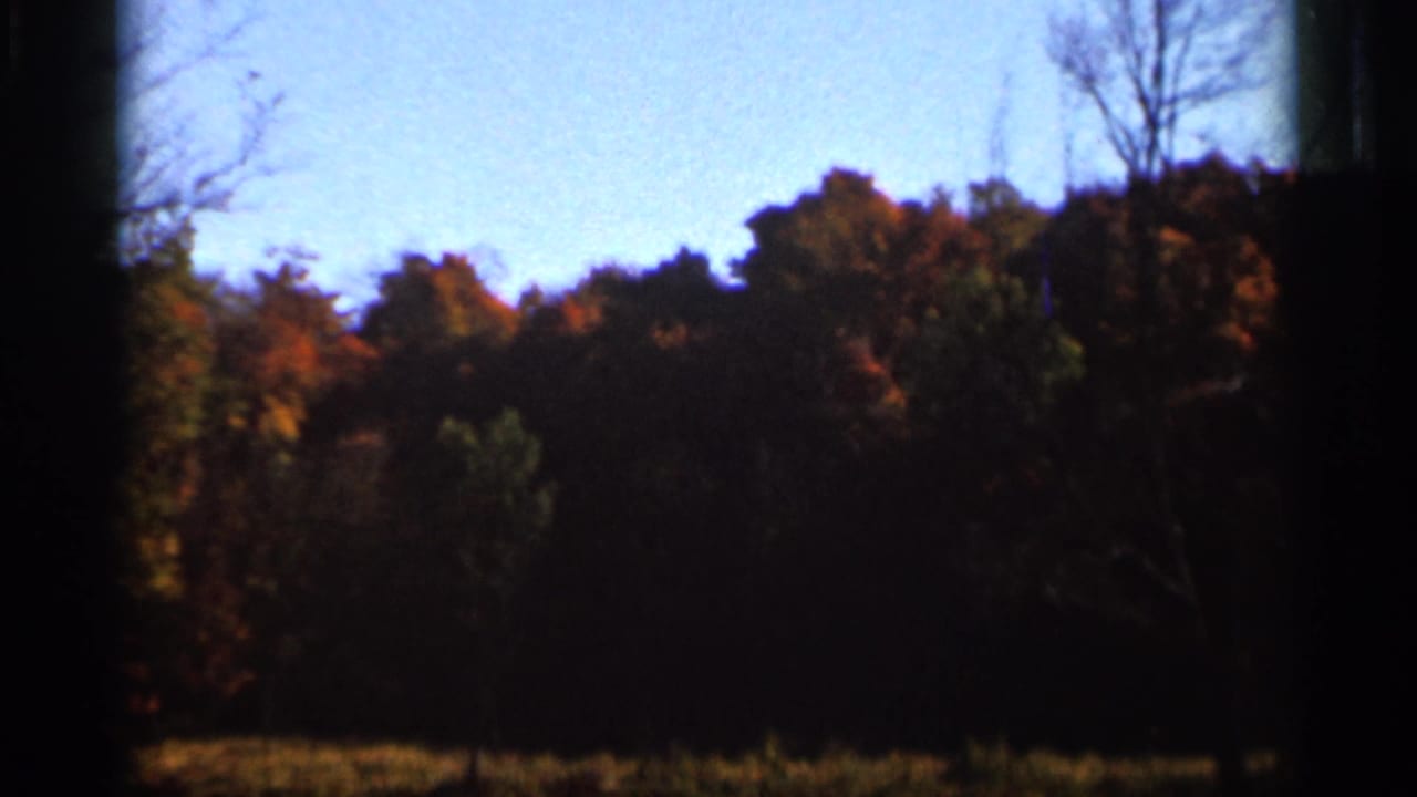 Autumn treeline with dark foreground brush and blue sky, bordered by film-edge shadows.