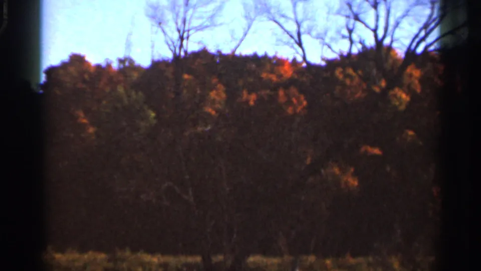 1966 Wauseon 8mm frame showing autumn foliage, bare branches, and shadowed undergrowth during a handheld pan.