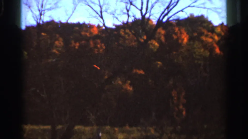 8mm home-movie frame from Wauseon, Ohio, showing fall treetops, leafless branches, and dark gate-edge shadows.