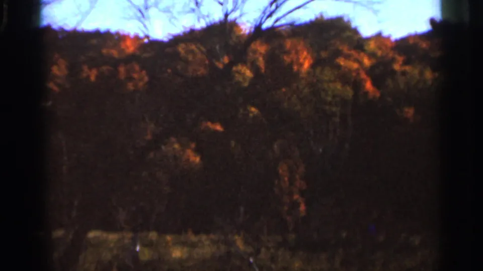 1966 Wauseon, Ohio 8mm frame showing a wooded fall treeline with orange foliage, bare branches, and pale blue sky.