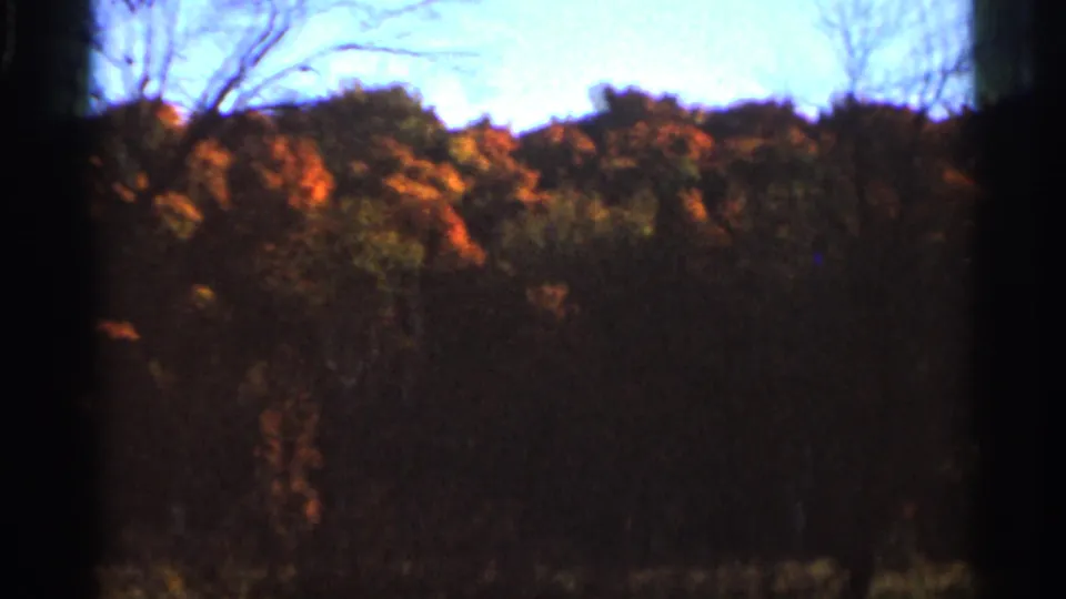 1966 Wauseon, Ohio 8mm frame with a dark wooded treeline, orange autumn leaves, and pale sky at the top.