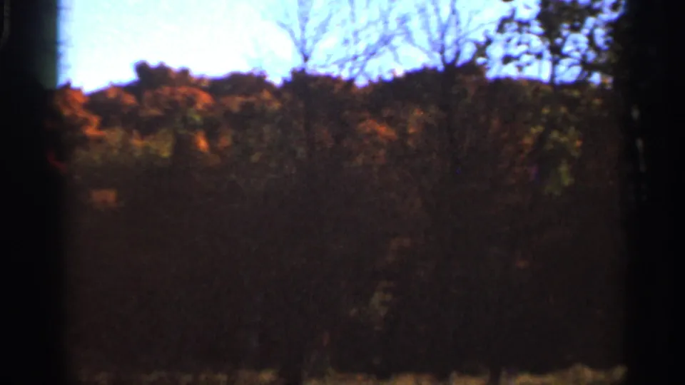 1966 Wauseon, Ohio 8mm frame showing orange treetops above dark brush and a small band of pale blue sky.
