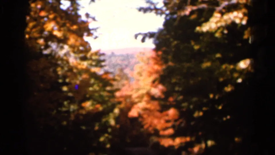 1966 Wauseon, Ohio 8mm frame looking past fall trees toward a distant color-covered hillside.