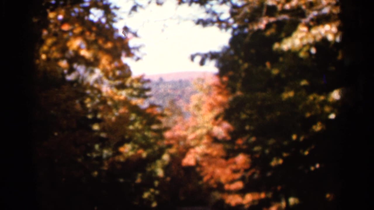 Autumn trees frame a distant ridge through a dark wooded foreground.