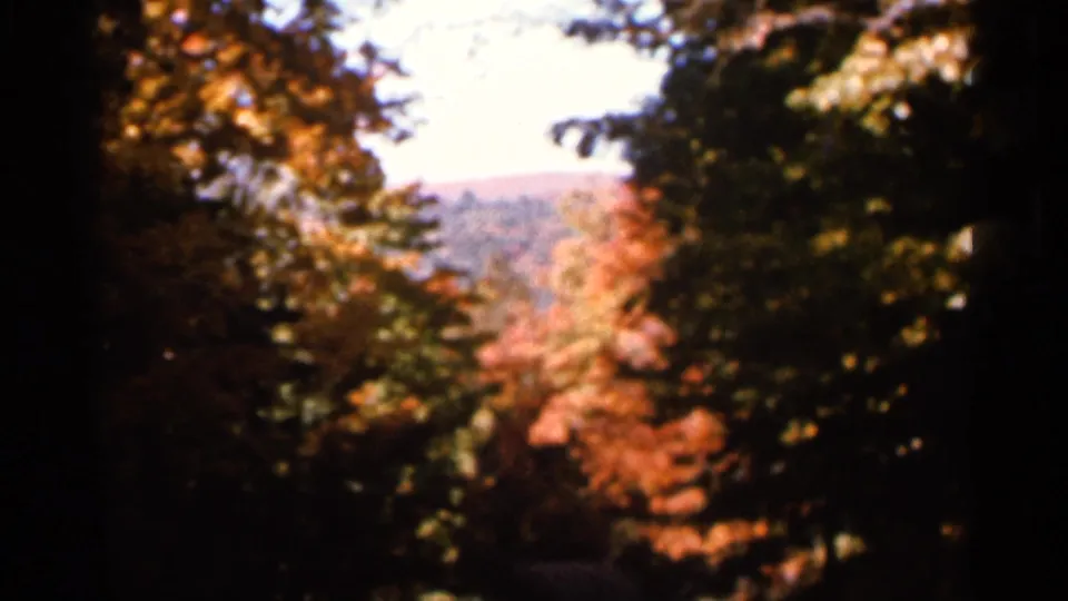 Handheld 8mm frame of autumn trees and a distant ridge in Wauseon, Ohio, with soft focus and warm color.