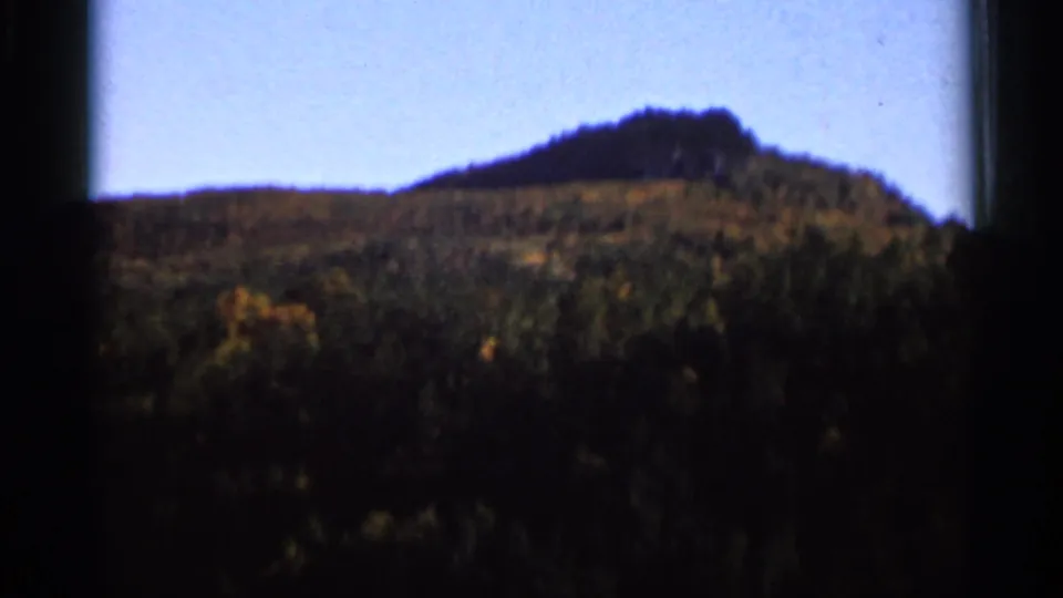 1966 8mm view of a rounded wooded hill beyond tree cover, associated with Wauseon, Ohio, in soft home-movie color.