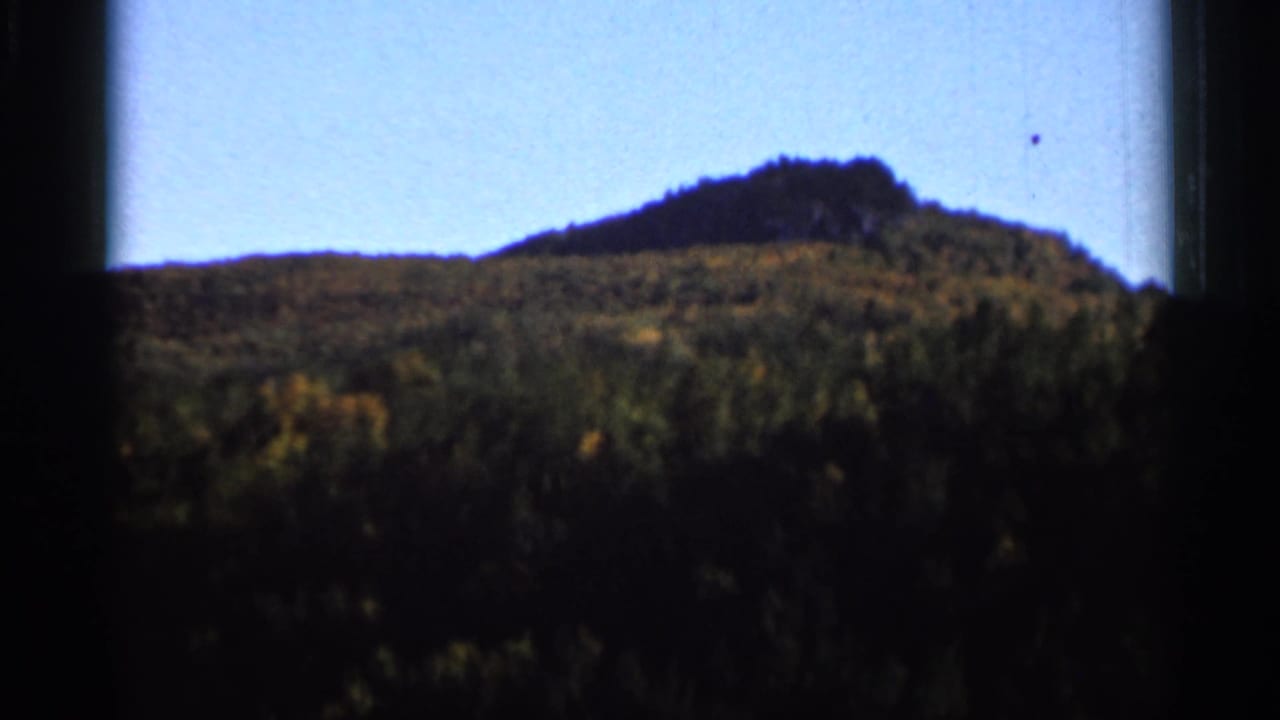 1966 8mm home-movie frame showing a wooded hillside and pale sky, with soft focus and dark gate shadows.