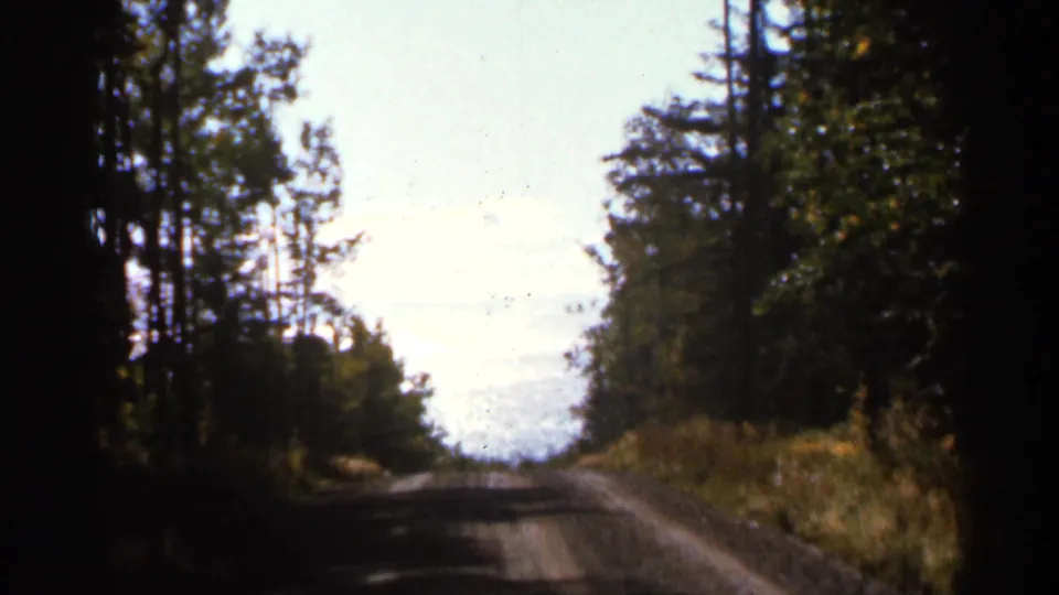 1966 8mm frame showing a narrow rural road lined with tall trees, filmed from a traveler’s viewpoint.