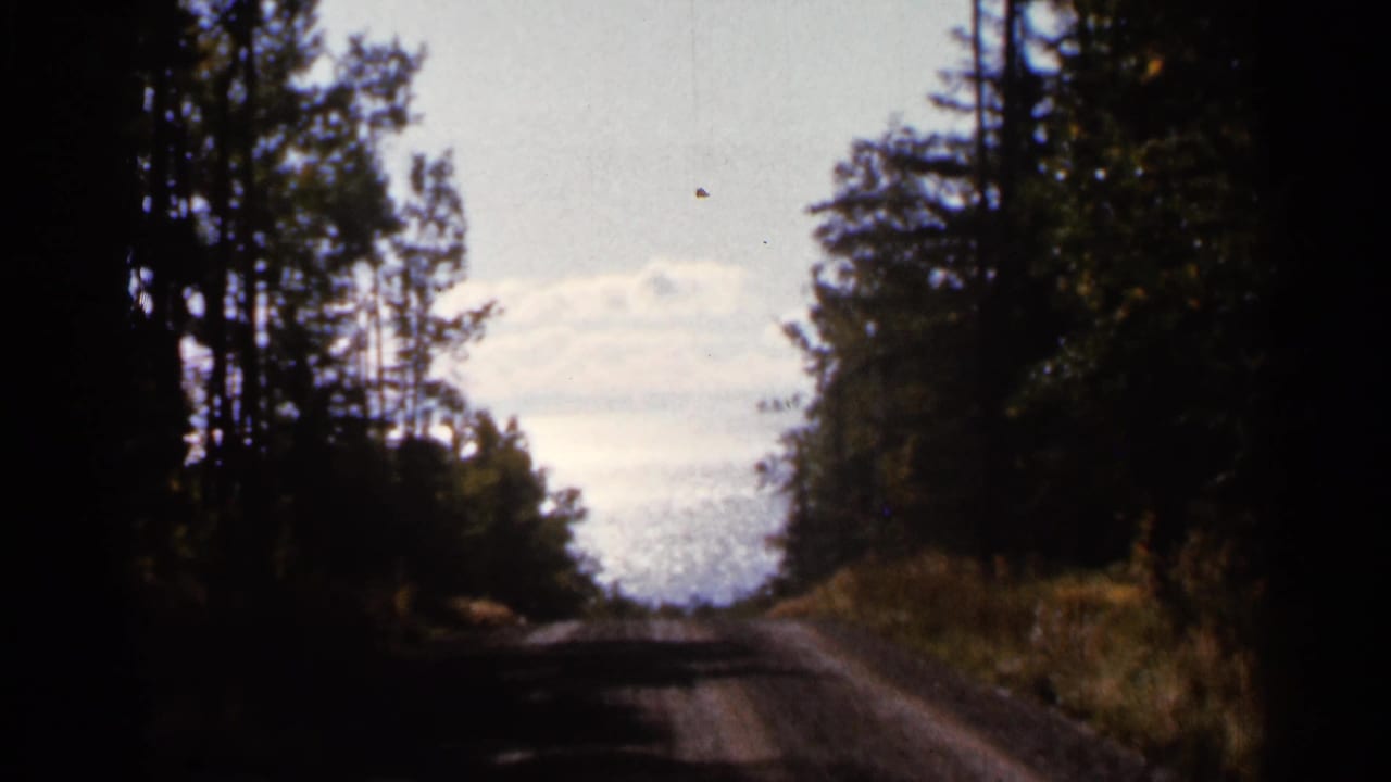 1966 home-movie frame of a wooded dirt road viewed from a moving vehicle, with tall trees framing a bright sky.