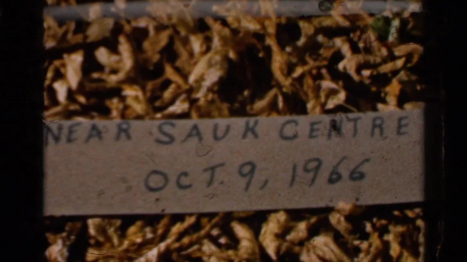 Handwritten 8mm title card on autumn leaves reading near Sauk Centre and Oct. 9, 1966.
