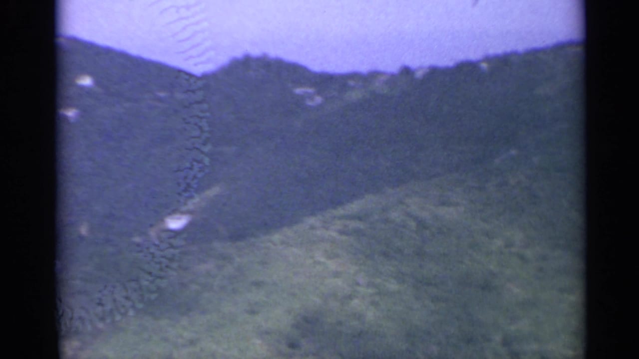 Forested hillside and ridgeline with a few pale structures visible in the distance.