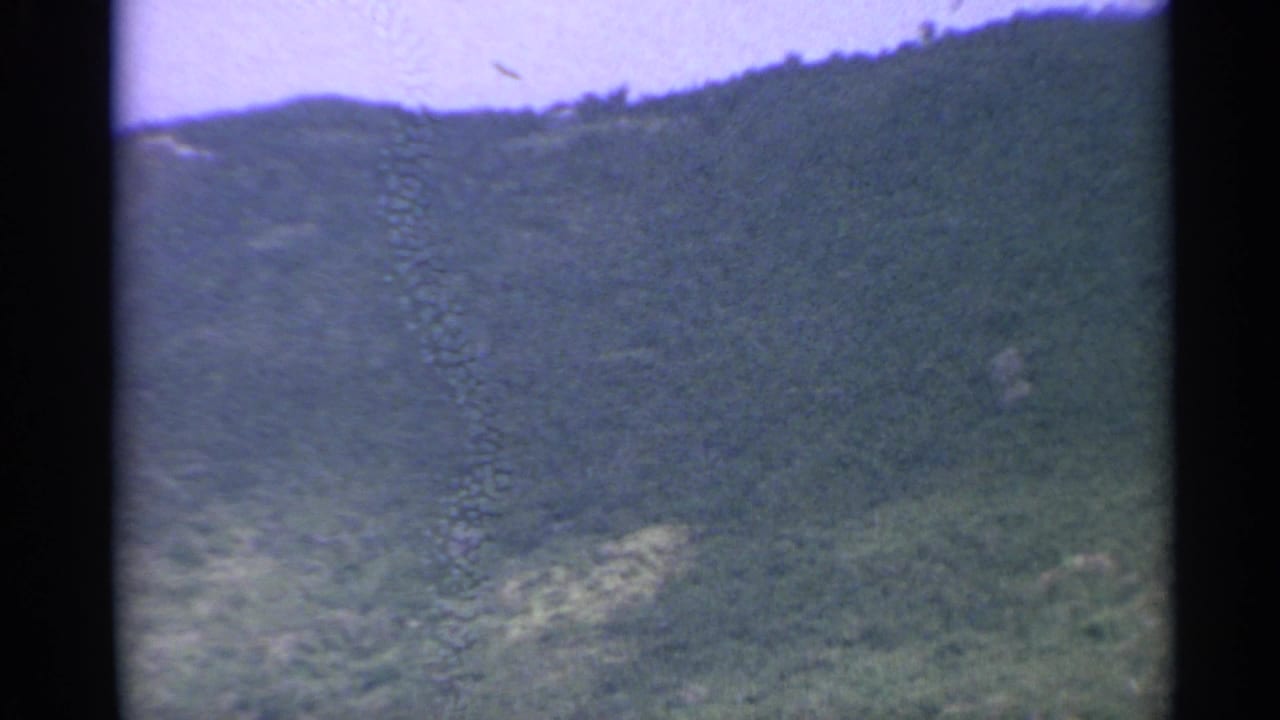 Forested mountain slope seen from a high vantage point with dark film edges.
