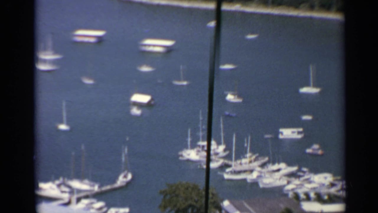 Harbor view with sailboats, motorboats, docks, and shoreline trees.
