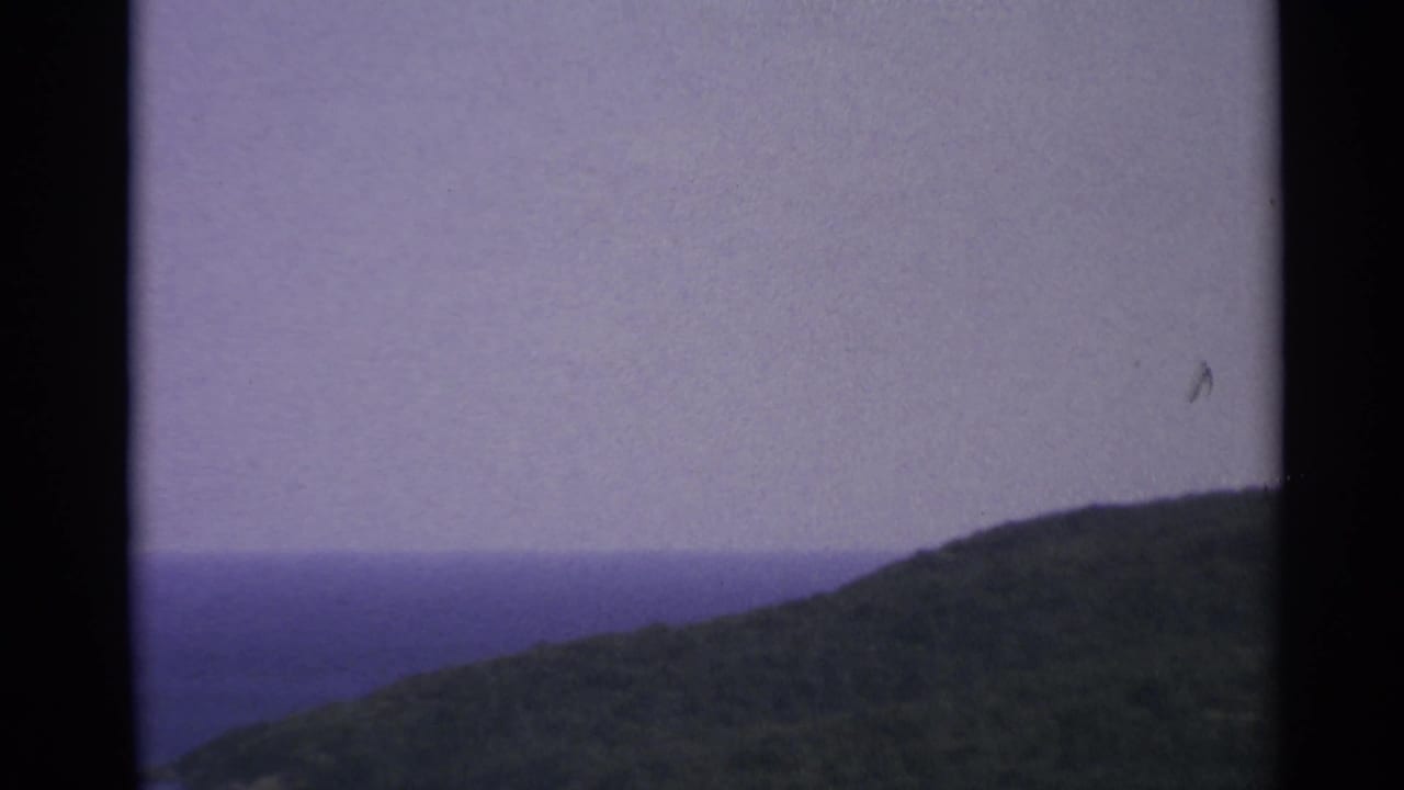Forested hillside beside blue water under a pale sky with dark film edges.